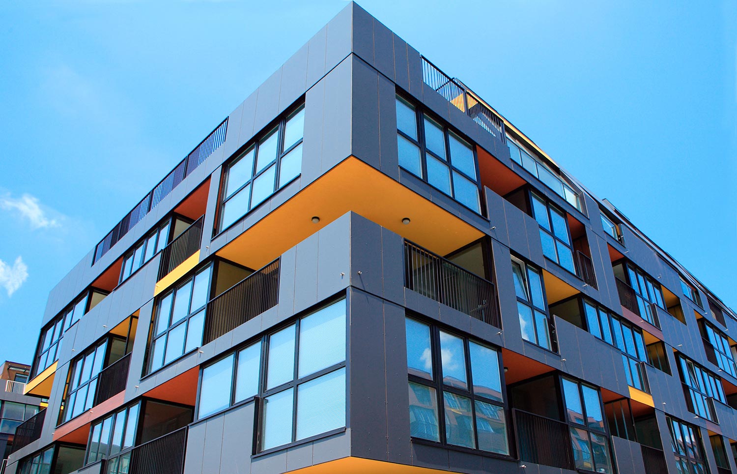 Hervorgehobenes Bild